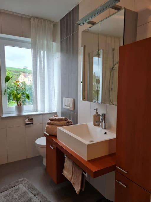 Ferienwohnung Panoramablick バート・メルゲントハイム エクステリア 写真